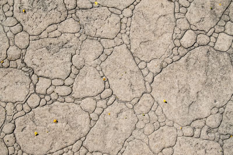 Decorative Concrete Repair in Bellingham, WA