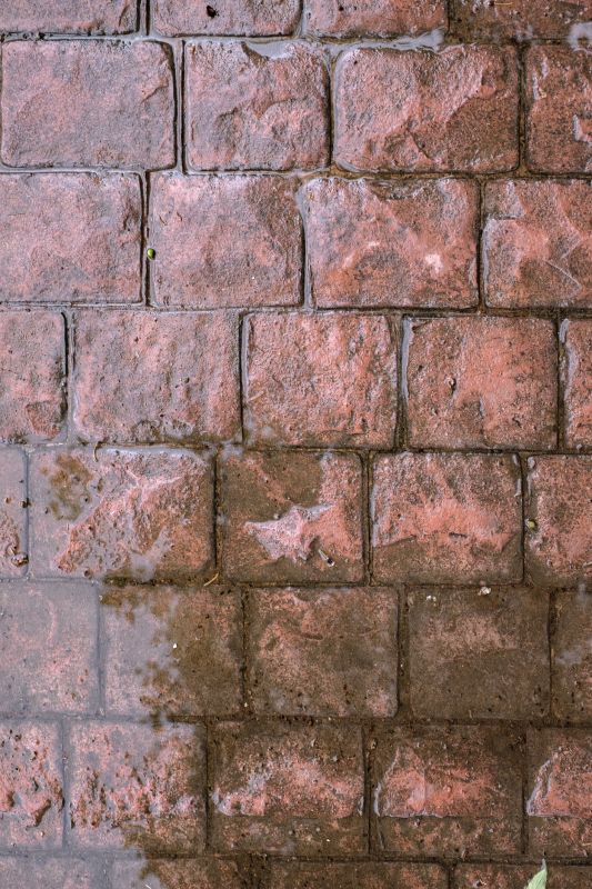 Decorative Concrete Repair in Mesa, AZ